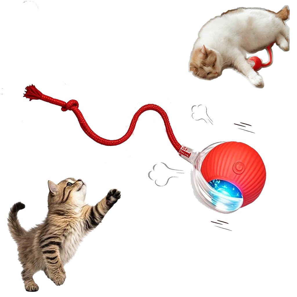 Interactive Cat Toy Rolling Ball With Tail Rope For Indoor Cats, Electric 360 Smart Automatic Moving Dog Toy To Keep Them Busy, 