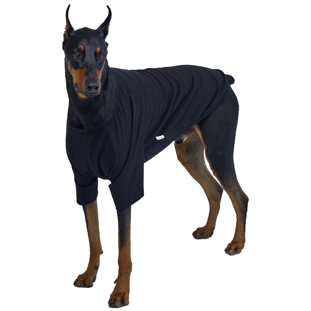 Lucky Petter Dog Shirt For Small Dogs Plain T-Shirts Soft Breathable Dog Cotton Shirt Pet Clothes (5X-Large, Navy)