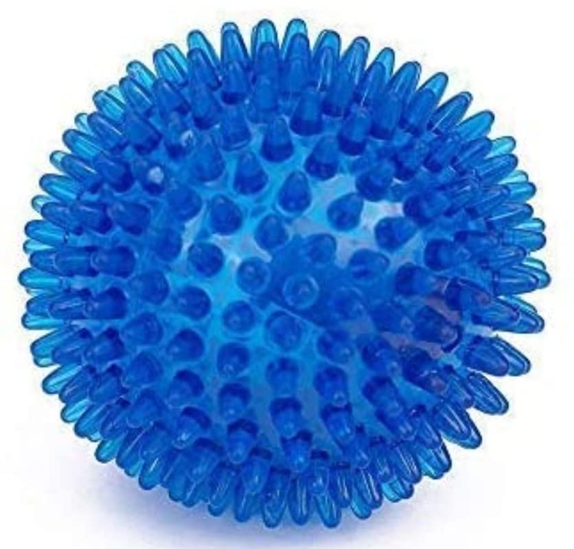 Fun Affairs Squeaky Pet Spiked Ball, Dog Chew Toy, Puppy Teething Chew Toy With Sound Interaction/Play For Pets  Color May Vary