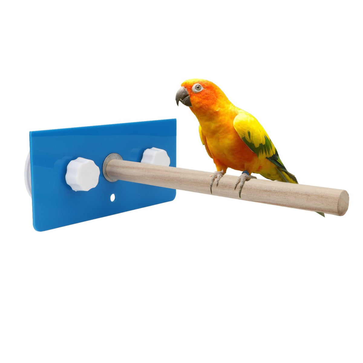 Hypeety Bird Parrot Stand Perch Shower Perch Standing Toy Portable Suction Cup Parrot Bath Stands Suppllies Holder Platform Para