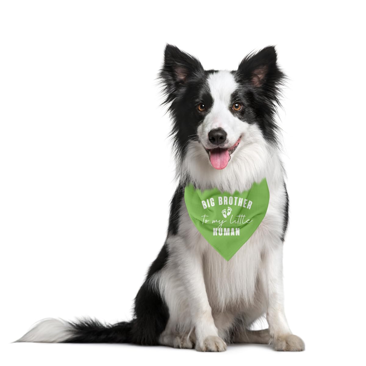 Big Brother To My Little Human Dog Bandana, Big Brother Bandana For Dog, Dogs Bandanas For Small Medium Dogs, Pet Scarf (D18)
