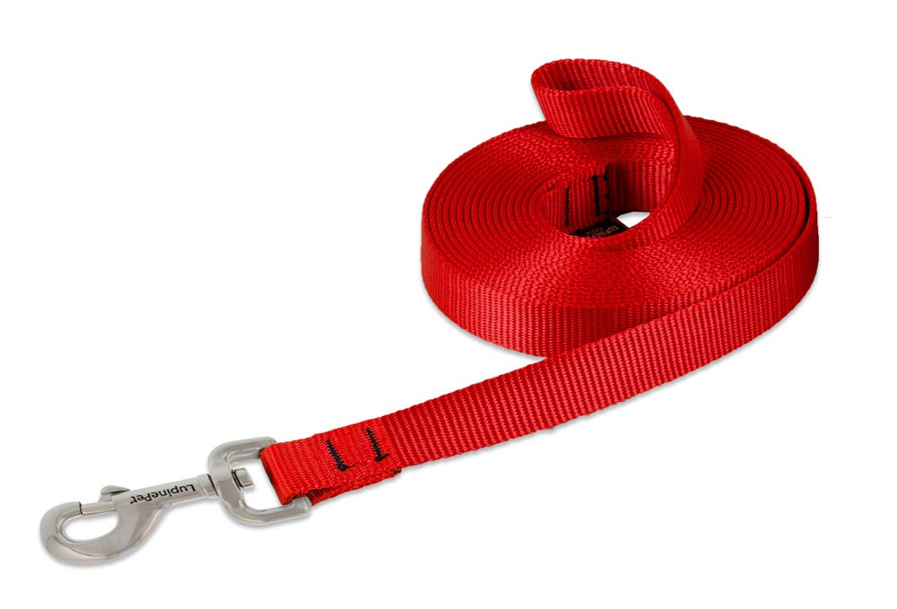 Lupinepet Basics 3/4' Red 15-Foot Extra-Long Training Lead/Leash For Medium And Larger Dogs