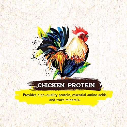 Inception Dry Dog Food Chicken Recipe - Complete and Balanced Dog Food - Meat First Legume Free Dry Dog Food - 27 lb. Bag