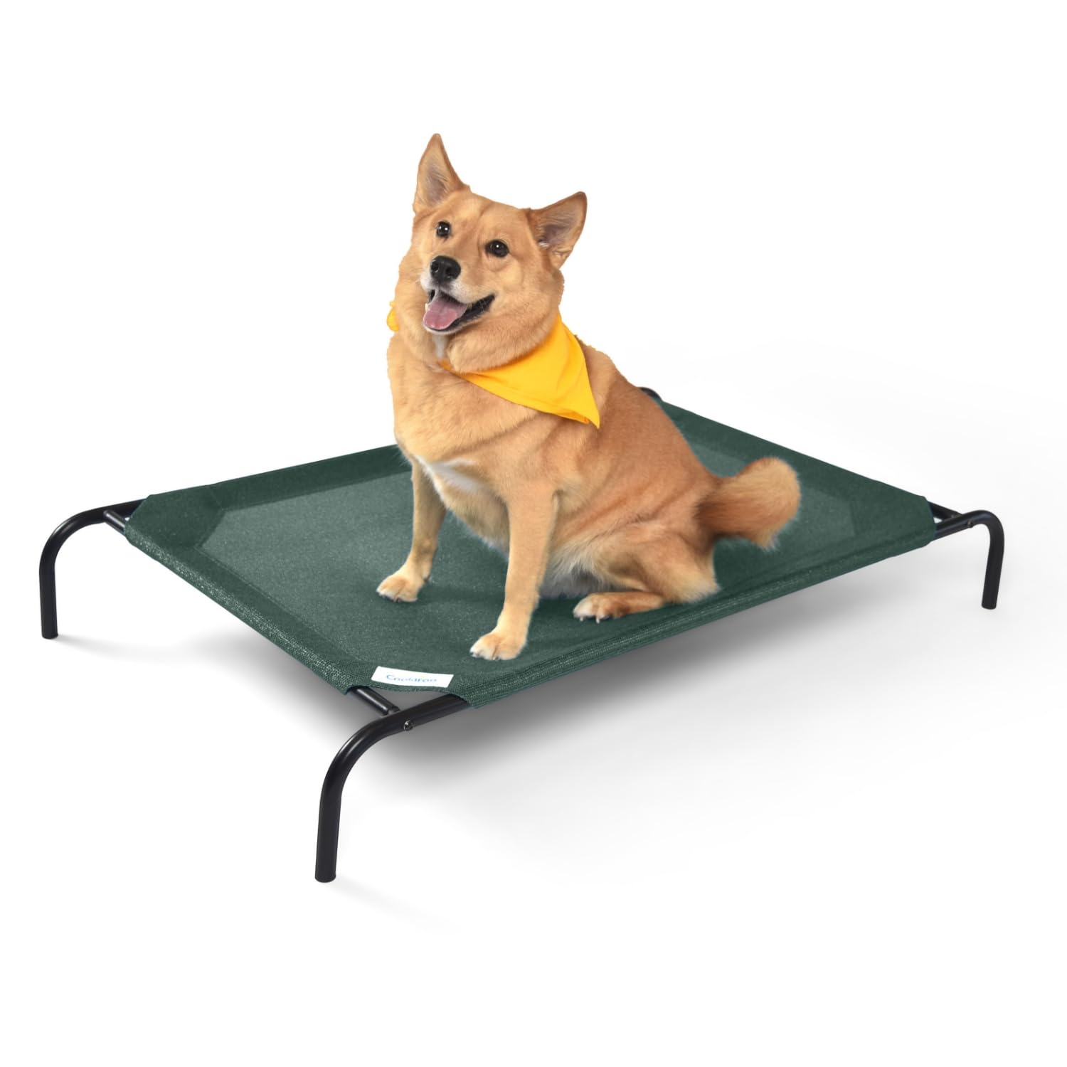Coolaroo Gale Pacific The Original Cooling Elevated Dog Bed, Indoor And Outdoor, Large, Brunswick Green, 51.00' X 31.50' X 8.00'