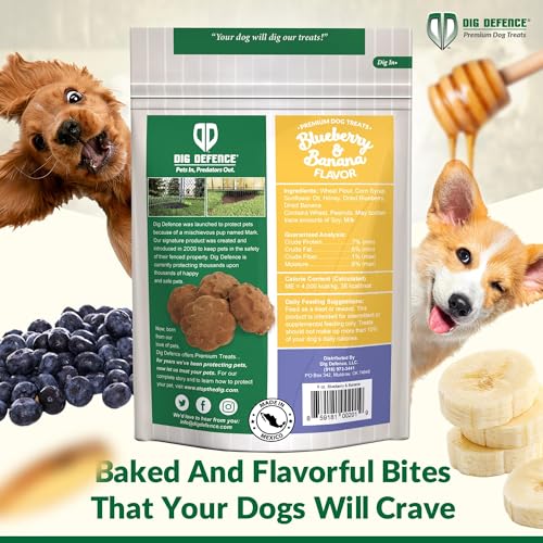 Dig Defence Premium Dog Treats - Carrot/Peanut Butter and Blueberry/Banana, Natural Ingredients, Baked Gourmet Snacks for Small