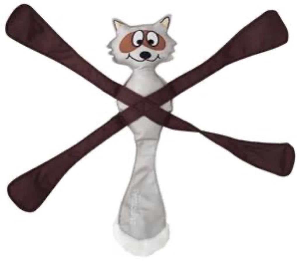 Doggles Pentapulls Dog Toy, Raccoon