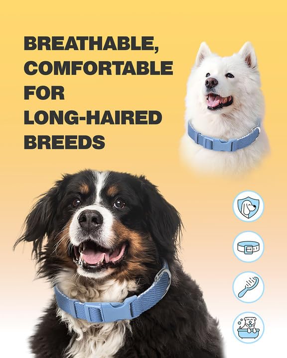 Dynmeow Soft And Breathable Cotton Dog Collar, Durable Adjustable Heavy-Duty Boy Pet Collar With Quick-Release Buckle, Lightweig