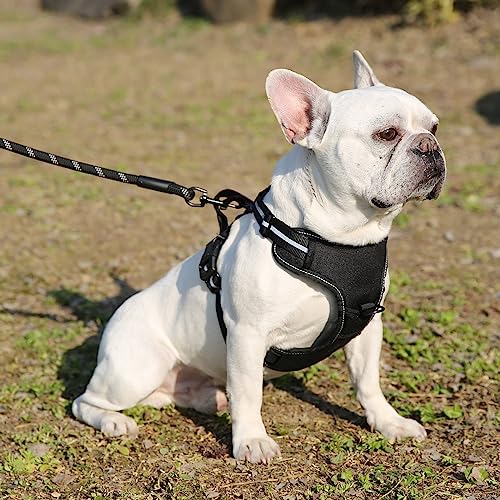 Amazon Basics No-Pull Dog Harness, Adjustable Soft Padded Vest With Reflective Stripes, Medium, Black