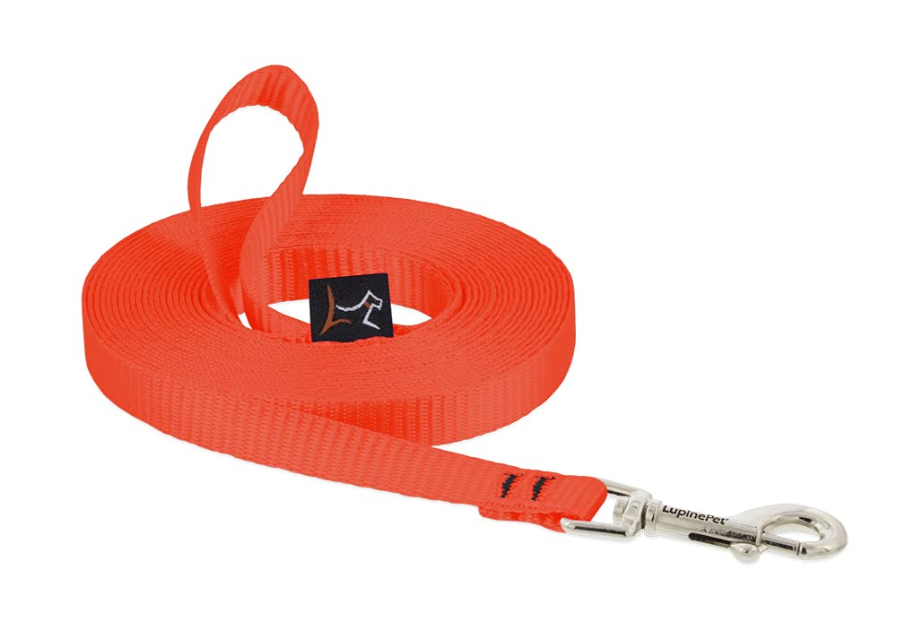 Lupine Basics 1/2'' Blaze Orange 15-Foot Extra-Long Training Leash For Small Dogs
