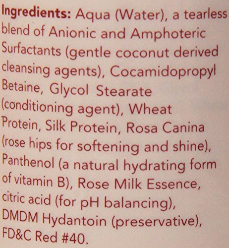 Ikaria Zx3150 16 06 Retreat Shampoo, 16-Ounce