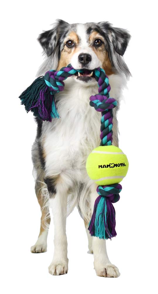Mammoth Flossy Chews Color 3 Knot Tug W/Standard Tennis Ball – Premium Cotton-Poly Tug Toy For Dogs – Interactive– Rope Dog Toy For Medium Dogs - 20”