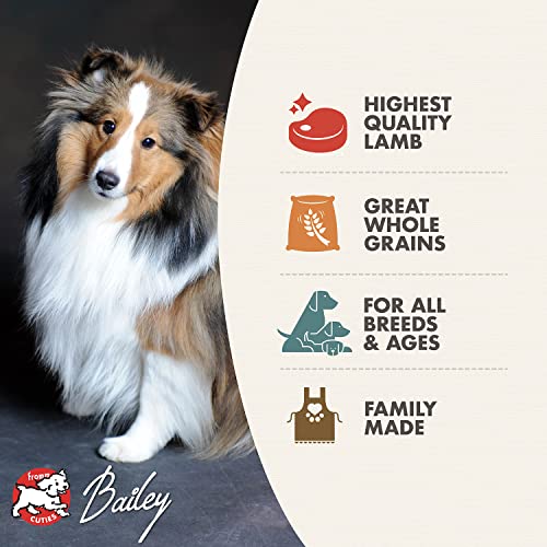Fromm Four-Star Nutritionals Zealambder Dog Food - Premium Dry Dog Food - Lamb Recipe - 26 lb
