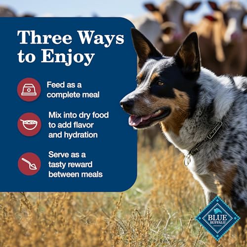 Blue Buffalo Homestyle Recipe Adult Wet Dog Food, Made with Natural Ingredients, Beef Dinner With Garden Vegetables, 12.5-oz Can