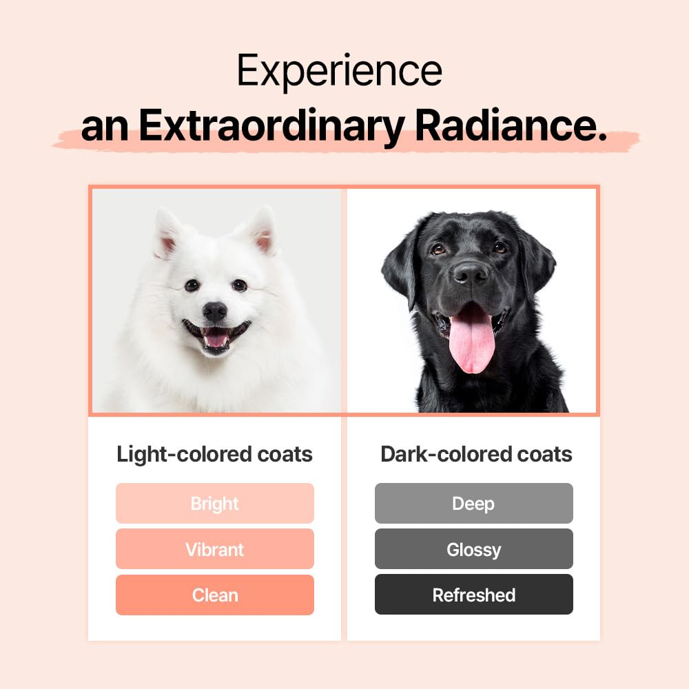 Breezytail Blooming Whitening Dog Shampoo, Loved By Top Korean Groomers, Deep Cleansing With Natural Ingredients For Radiant Coa