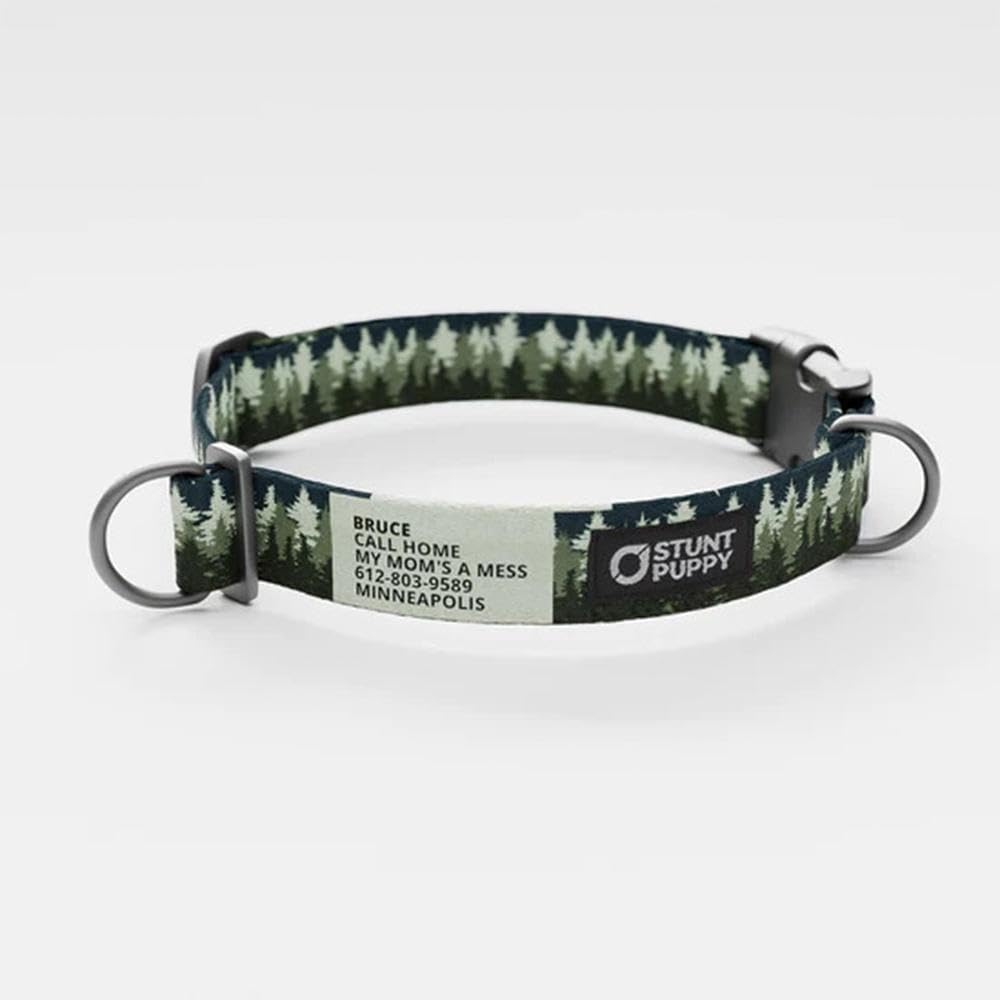 Pines Green Everyday Collar, Medium