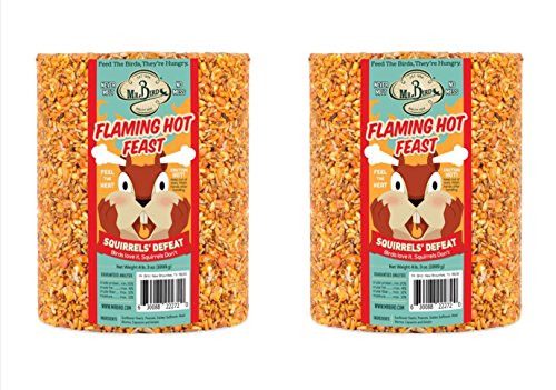 2-Pack of Mr. Bird Flaming Hot Feast Large Wild Bird Seed Cylinder 4 lbs. 3 oz.