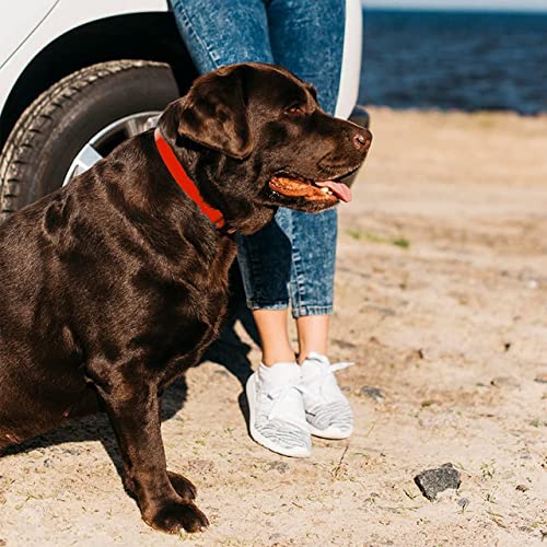 Regal Dog Products Large Red Waterproof Dog Collar With Heavy Duty Double Buckle & D Ring | Vinyl Coated, Custom Fit, Adjustable Pet Collars | Comes In Other Sizes For Puppy, Small And Medium Dogs