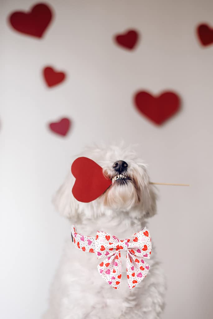 Lionet Paws Valentine'S Day Dog Collar With Bowtie, Dog Sailor Bow Collar With Metal Buckle For Dogs And Cats, Adjustable Comfor