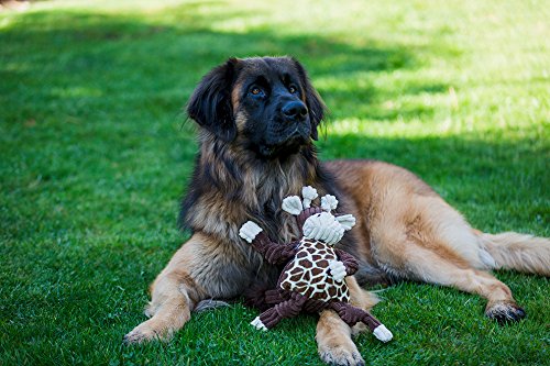 Hugglehounds Knotties Dog Toys For Large Dogs - Plush Dog Toy For Aggressive Chewers - Squeaky Interactive Puppy Toys - Soft Yet Tough, Durable Stuffed Pet Chew Toy For All Breedss | Large Giraffe
