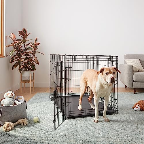 Amazon Basics Foldable Metal Wire Dog Crate, Double Door, 48"x30"x32.5", Black, Model 9001N-48B