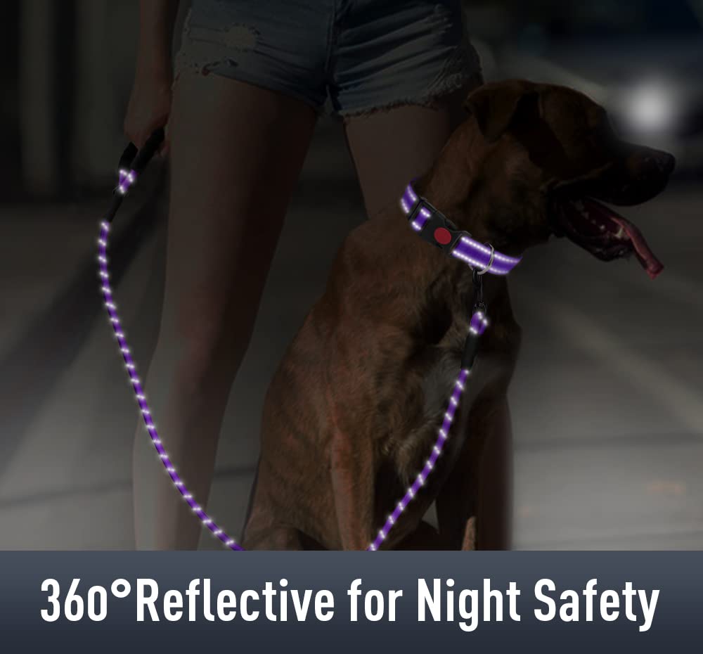 Erbine Airtag Dog Collar For Small Dogs, Reflective Dog Collars With Airtag Holder, Soft Padded & Safety Locking Buckle, Nylon Pet Collar Adjustable For All Breeds, Purple