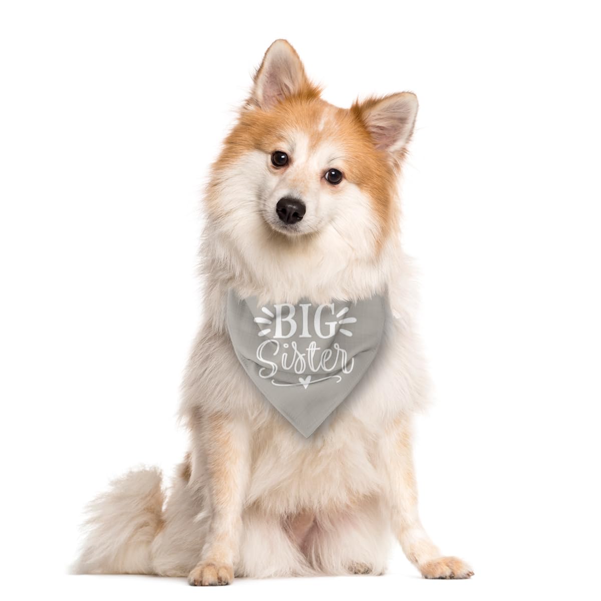 Big Sister Dog Bandana, Light Gray Dog Bandana, Pet Scarf Accessories, Pet Dogs Triangle Scarf, Pet Bandanas For Small Medium Do