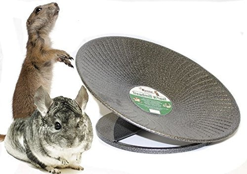 Exotic Nutrition 14 Black All Metal Treadmill Wheel for Small Pets - Silent, Smooth, Durable Exercise Wheel for Chinchillas, Hamsters & More