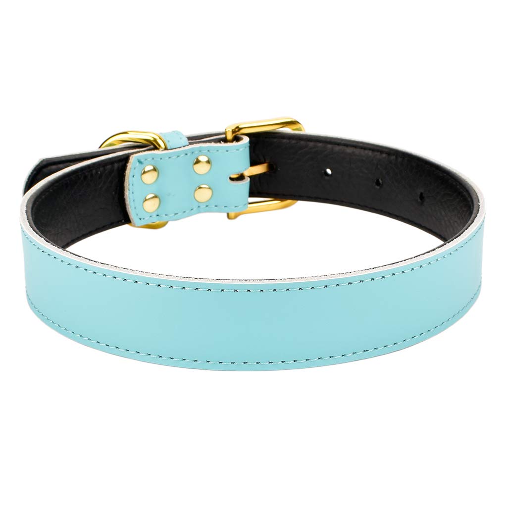 Aolove Basic Classic Padded Leather Pet Collars For Cats Puppy Small Medium Dogs (17-22 Neck * 1.2 Wide, Blue)