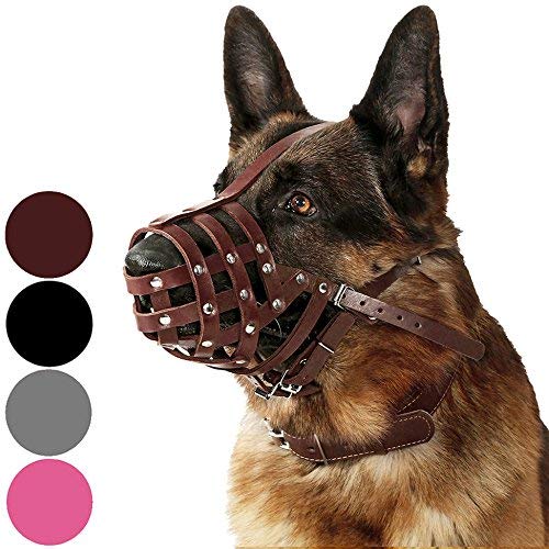 Collardirect Dog Muzzle German Shepherd Dalmatian Doberman Setter Leather Basket Medium Large Breeds Black Brown (L, Chestnut Brown)