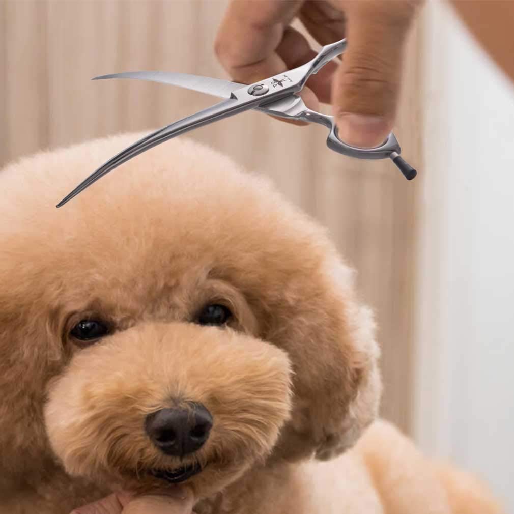 6.5 Inch Downward Curved Dog Grooming Scissors Pet Cutting Shears Professional Safety Blunt Tip Trimming Shearing For Dogs Cats Face Paws Limbs 6.5 Inch, 7 Inch Japanese Stainless Steel Silver