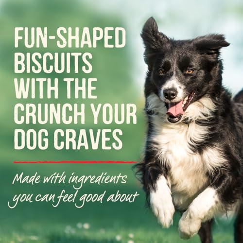 Merrick Oven Baked Turducken Dog Treats - 11 oz