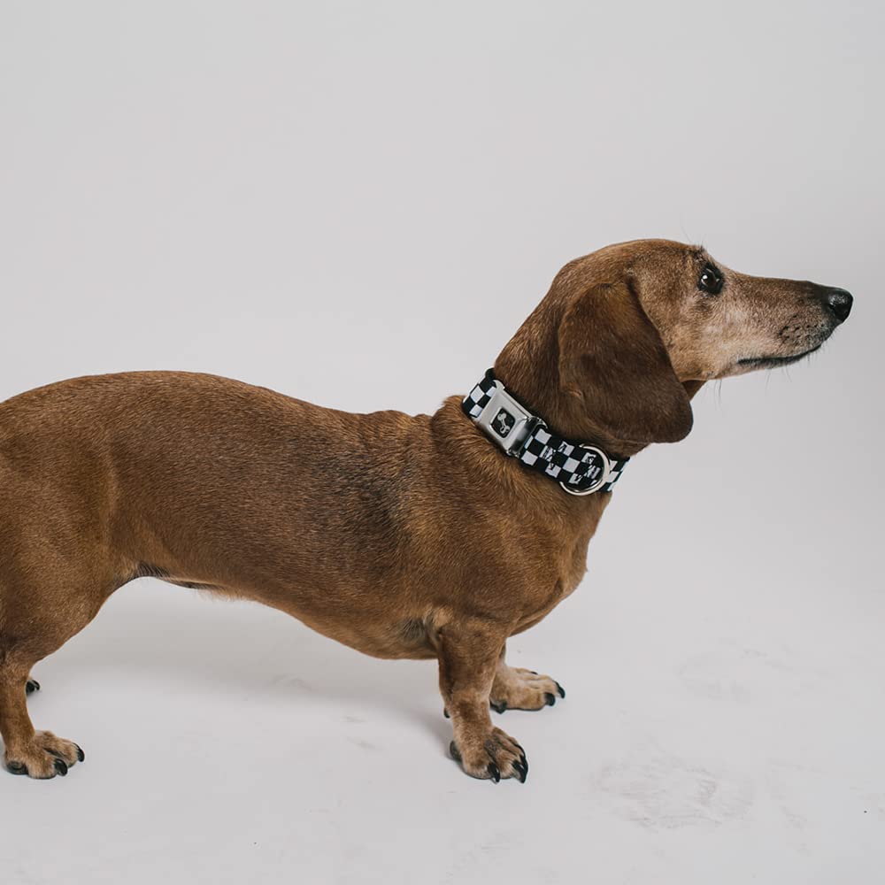Buckle-Down Checker Black/White Dog Collar Bone, Small/9-15'