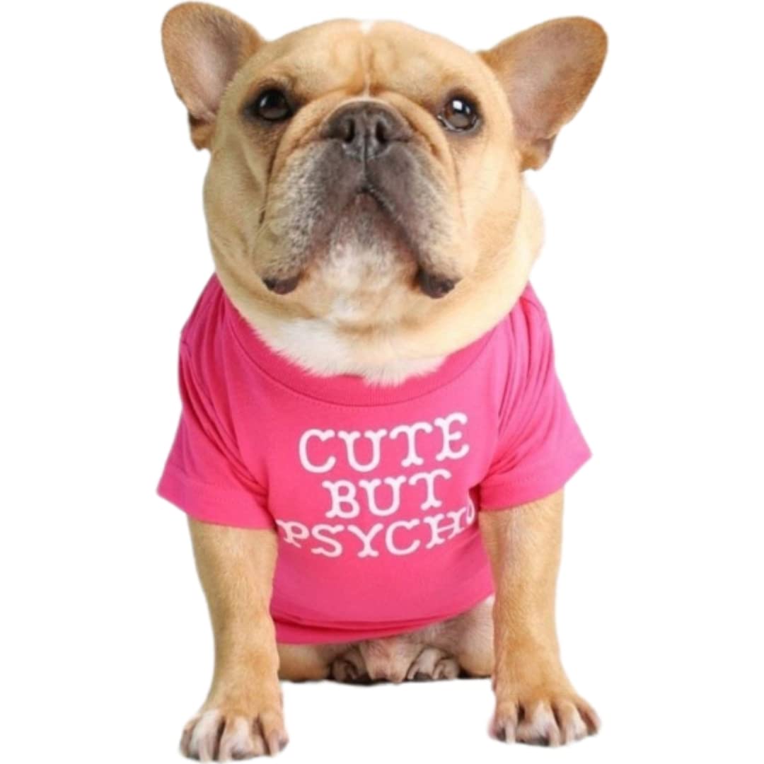 Kutkut Pet Dog Breathable Stretchy Round Neck T-Shirt Cute But Psycho Small Dog Cats Summer Soft Cotton Tshirt | Pug, French Bul