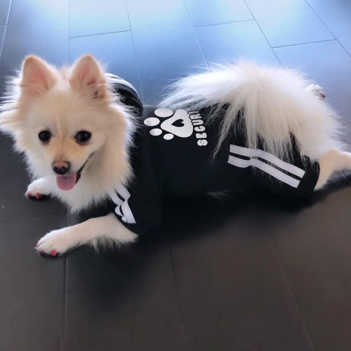 Otunrues Dog Hoodies, Pet Dog Clothes Pullover 4 Legs Jumpsuit Sweatshirt Security Patterns Outfit Doggie Winter Coat Cotton Puppy Hoodied For Small Medium Large Dogs Cats(Black,Xs)