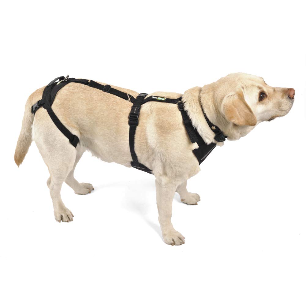 Ortocanis - Full-Body Dog Harness For Fore And Hind Support. Size Xxl