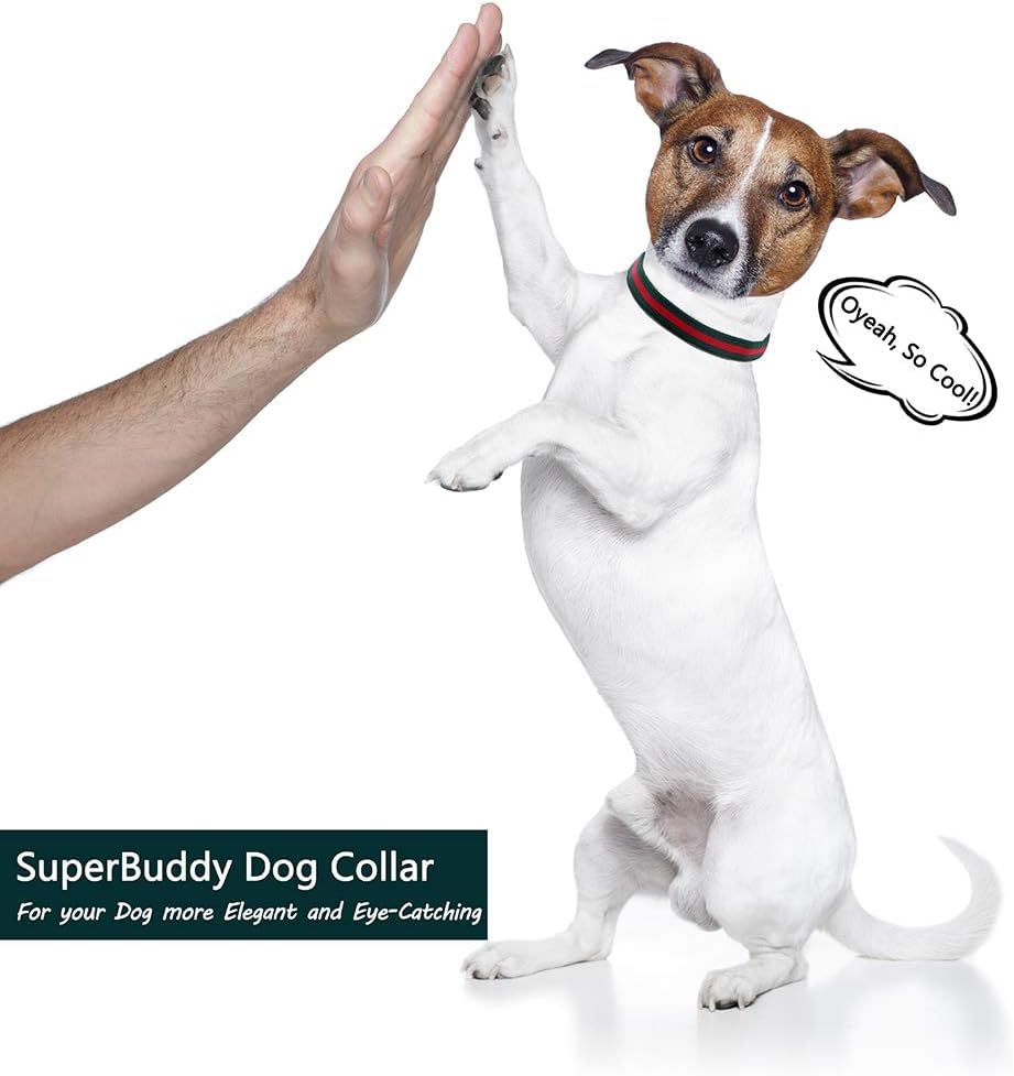 Premium Dog Collar, Cute Dog Collars Luxury Style, Durable Pet Collars And Dog Leash With Metal Buckle Safety For Puppy Small Do