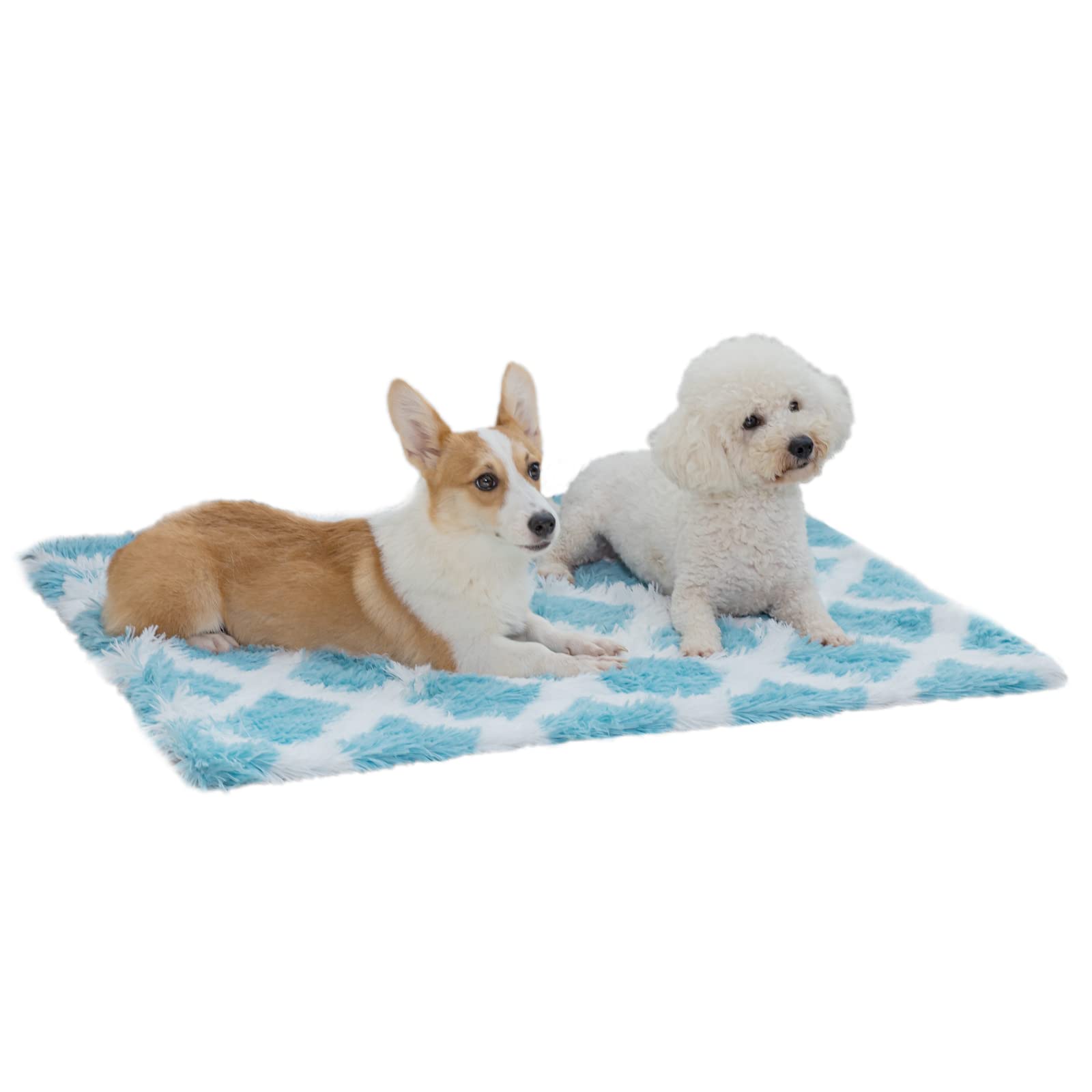 Pjyucien Fluffy Fleece Calming Pet Throw Blanket, Super Soft And Warm For Indoor Cats And Dogs, Large 30 * 40', Machine Washable, Blue Diamond Pattern, White Puppy Blanket