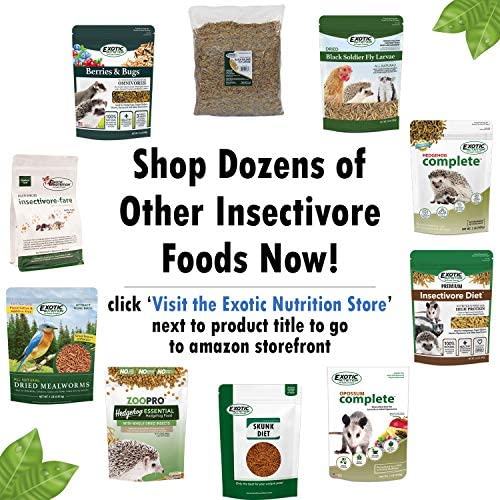 Exotic Nutrition Hedgehog Essential 40 lb - Chicken Kibble with Mealworms