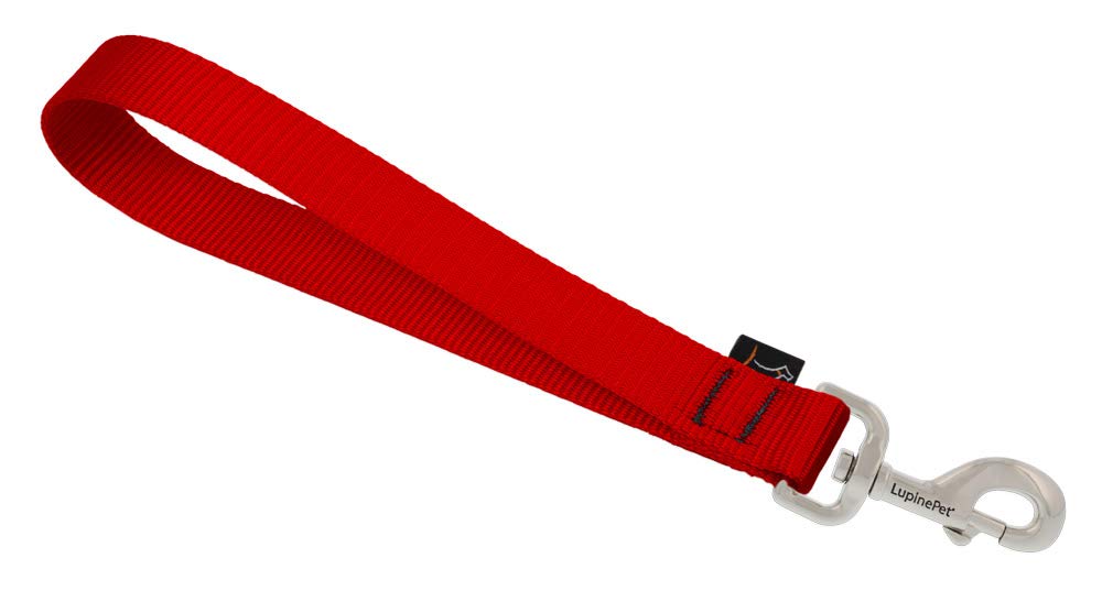 Training Tab By Lupine In 1' Wide Red For Medium And Larger Dogs