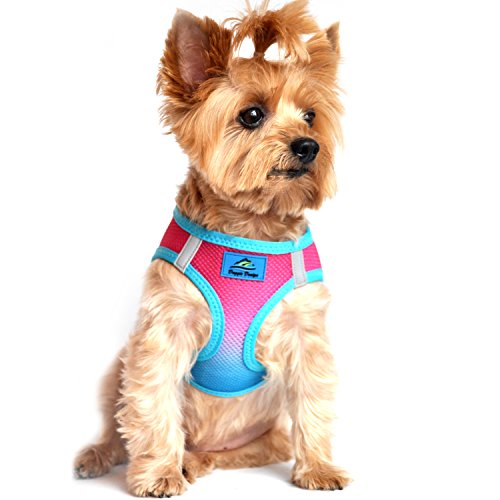 Doggie Design No Choke Dog Harness - Simple Step-In And Go Dog Vest For Small, Medium, And Large Breeds - Breathable Mesh Polyester Pet Harness - Sugar Plum - L