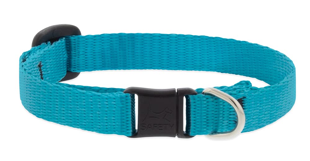 Lupine Breakaway Cat Collar 1/2 Wide Aqua adjusts 8-12