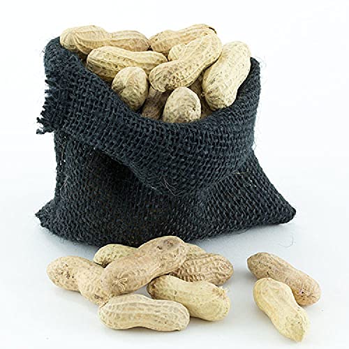 Great Companions in Shell Peanuts, Bird Treat- 5 lbs
