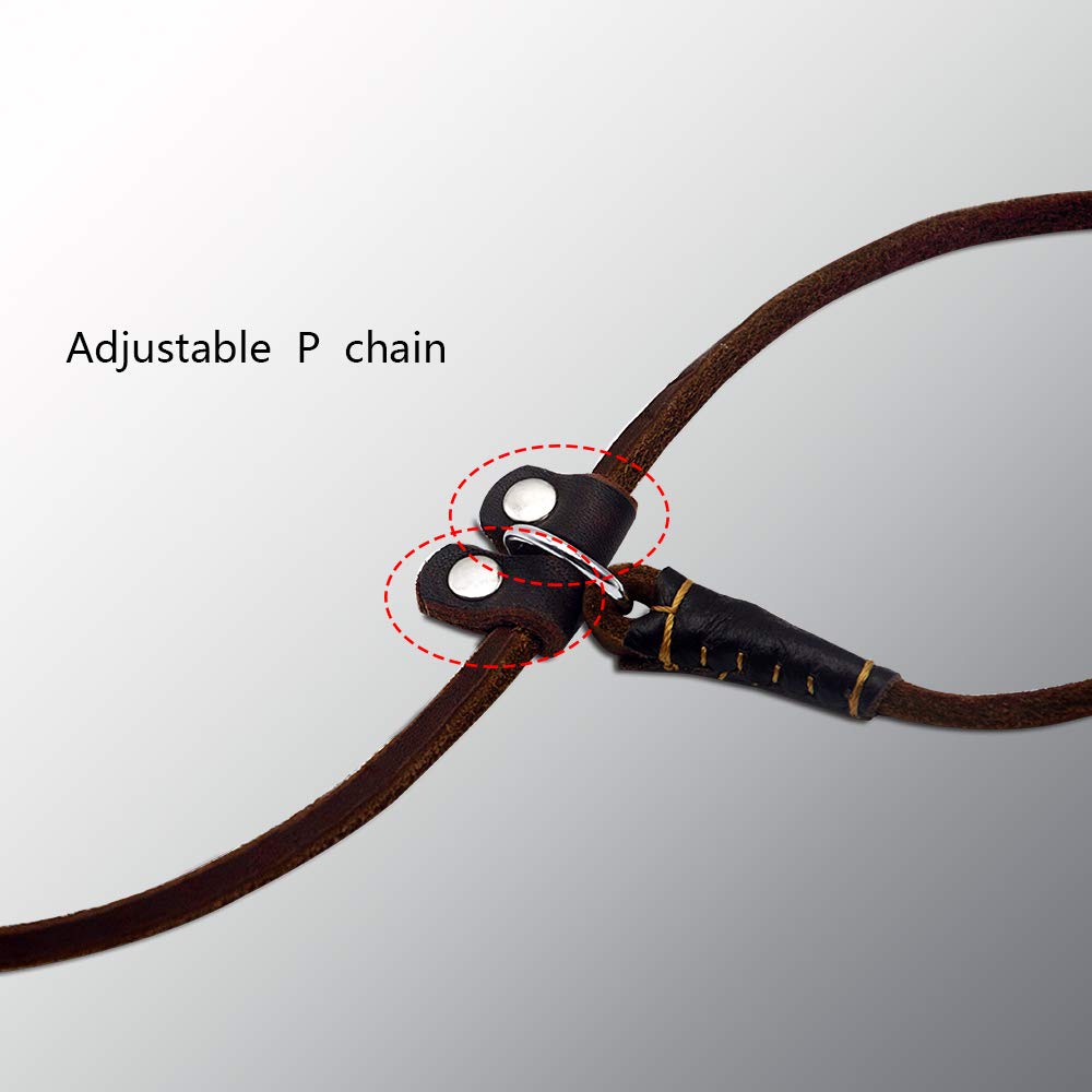 Wellbro Real Leather Slip Dog Leash, Adjustable 160cm, Soft & Slim for Puppies, Brown, Model 11289488