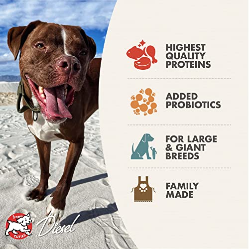Fromm Heartland Gold Large Breed Adult Dog Food - Dry Dog Food for Large & Giant Breeds - Beef Recipe - 12 lb