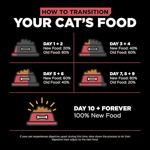 Go! Solutions Sensitivities Limited Ingredient, Grain-Free Dry Cat Food, Salmon Recipe for Sensitive Stomach, 6 lb Bag