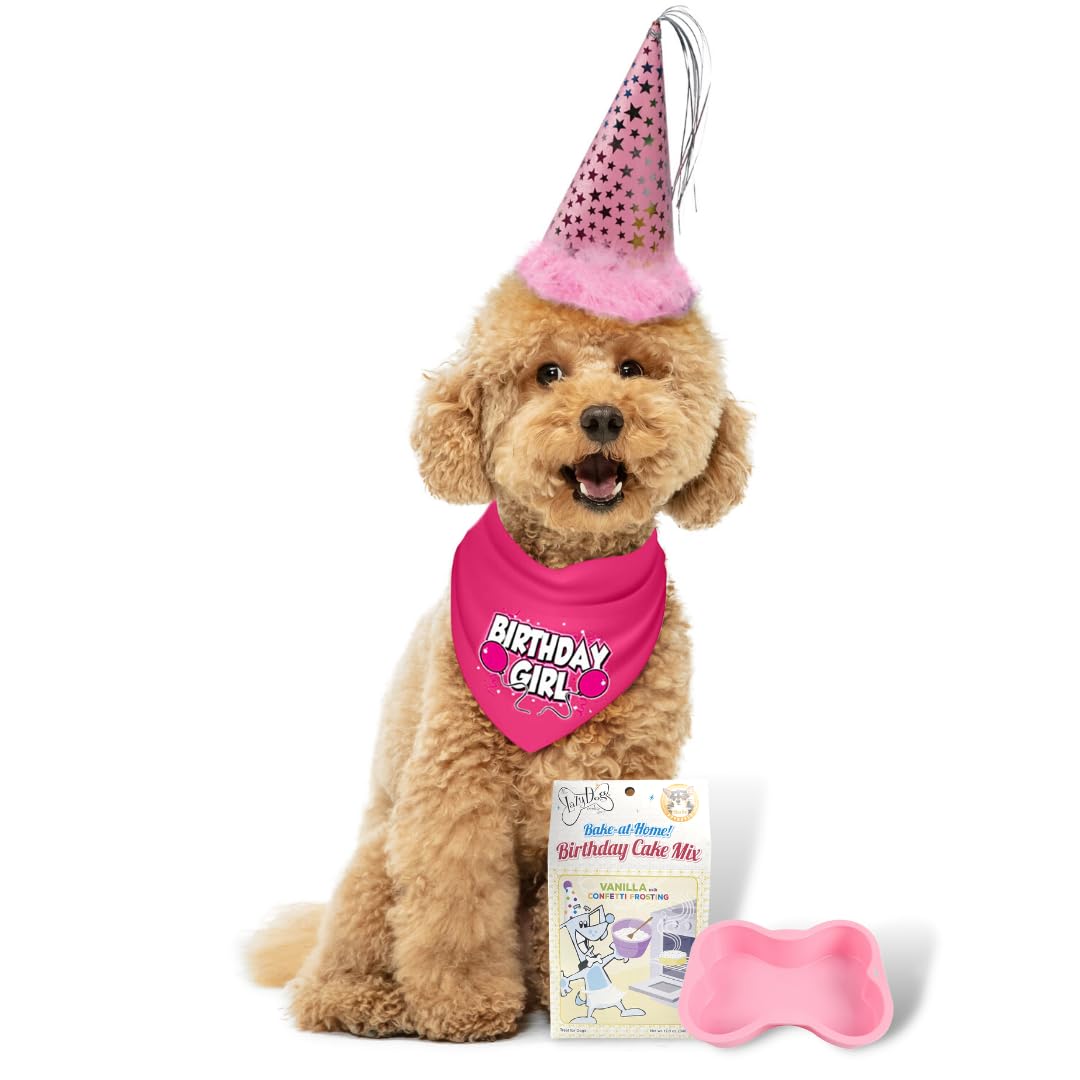 Jt Pet Dog Birthday Girl Party Pack With Bandana, Star Spangled Party Hat With Adjustable Elastic, Tassels And Feathery Trim, Bi