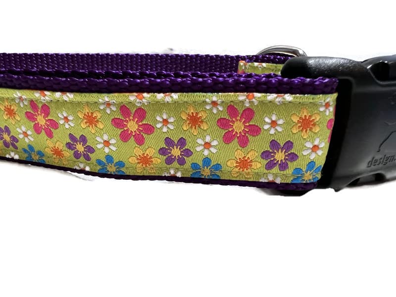 Spring Dog Collar, Caninedesign, Valentine, St Patricks Day, Easter, 1 Inch Wide, Adjustable, Nylon, Medium And Large (Gerber Da