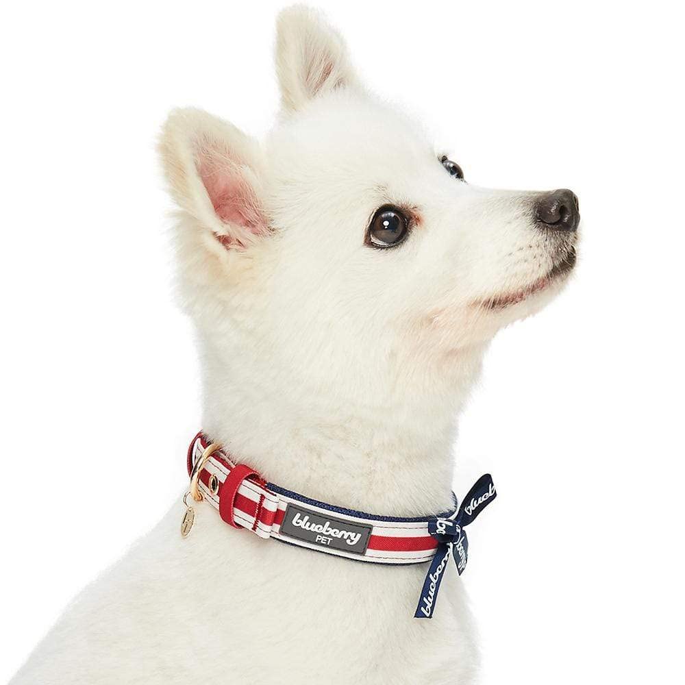 Blueberry Pet 4 Patterns Bon Voyage Sea Lover Adjustable Dog Collar In Horizontal Red Stripes, Neck 13-16.5'', For Medium Breed