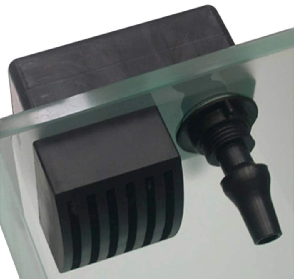 Two Little Fishies Xaqua Inout Overflow And Return