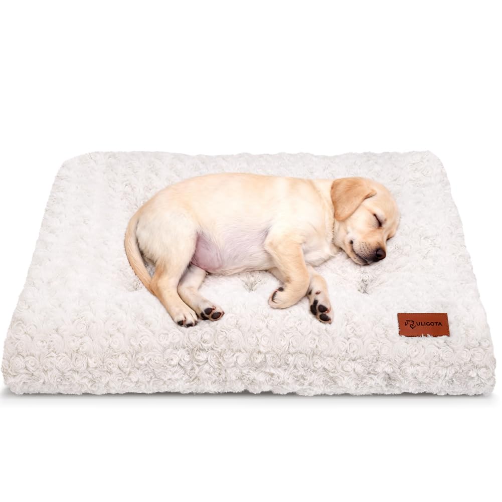 Dog Bed Crate Pad - Rosette Pattern White Velvet Pet Bed Anti-Slip Comfy Kennel Pad for Crates Rosette White S